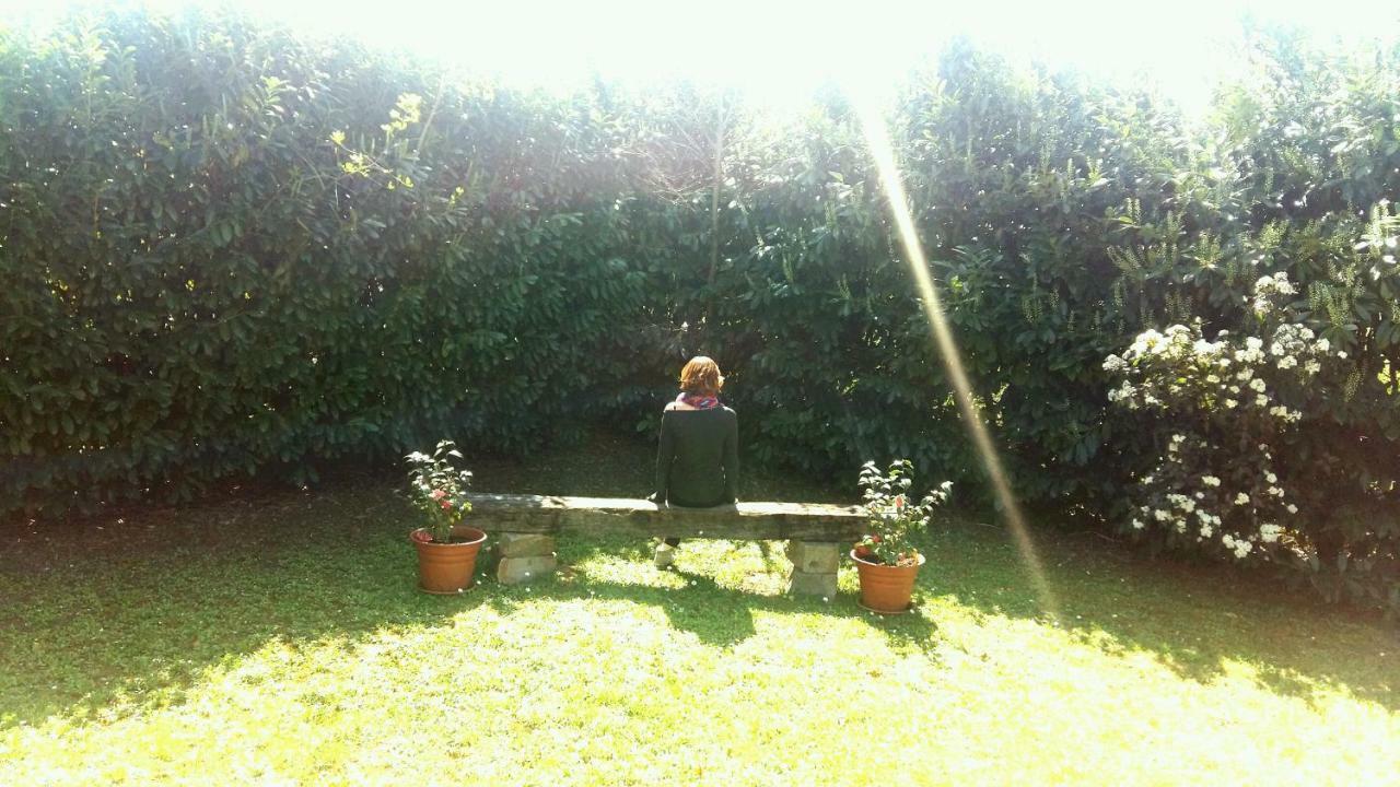 B&B Borgo Del Priolo - Petfriendly Cesena Exterior photo